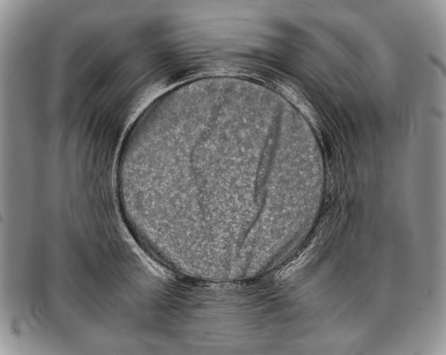 X0000096670803200803041219