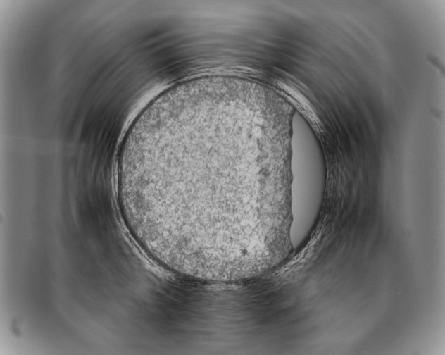 X0000096670804200803041219