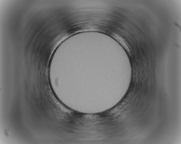 X0000096670805200803041219