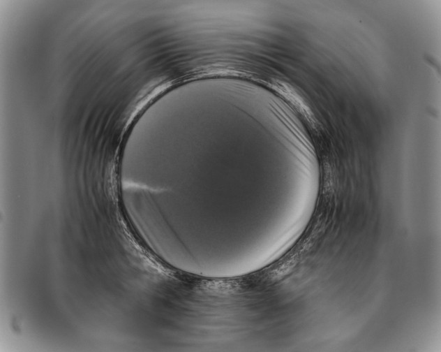 X0000096670806200803041219