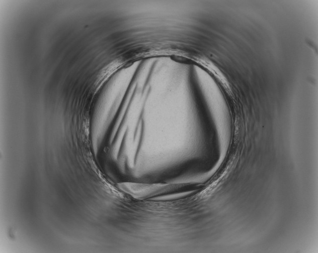 X0000096670809200803041219