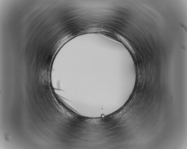X0000096670810200803041219