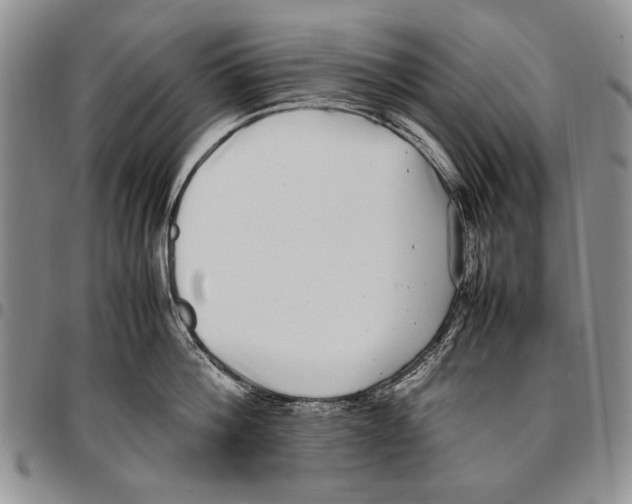 X0000096670812200803041219