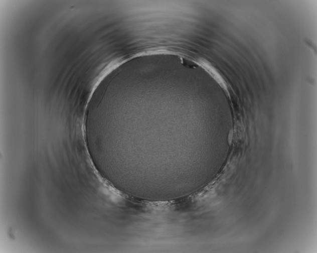 X0000096670813200803041219