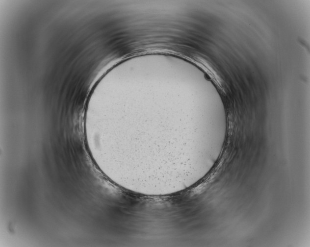 X0000096670814200803041219