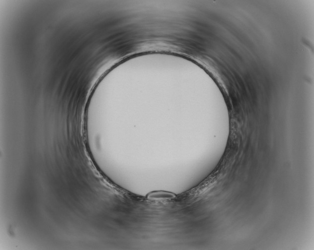 X0000096670815200803041219