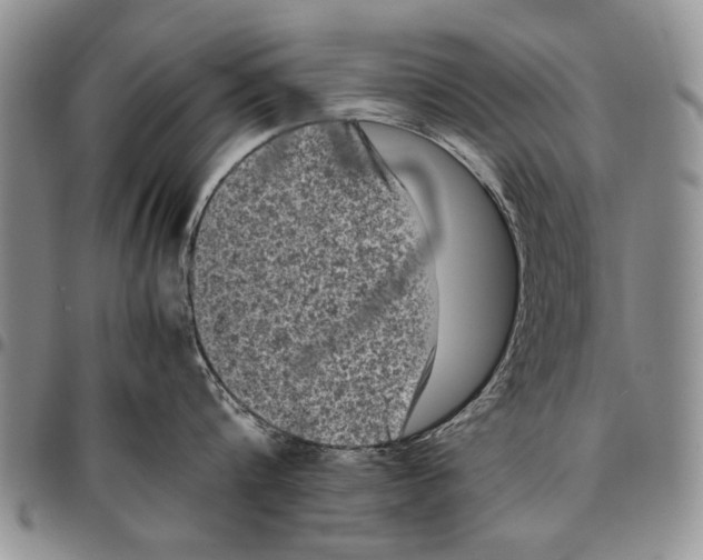 X0000096670816200803041219