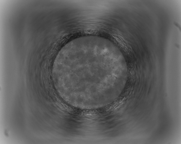 X0000096670817200803041218