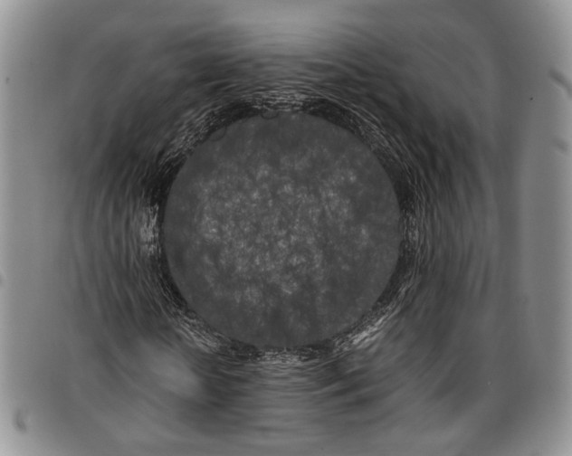 X0000096670818200803041218
