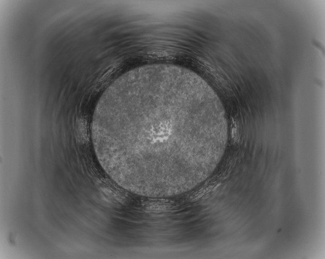X0000096670819200803041218
