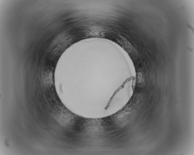 X0000096670820200803041218