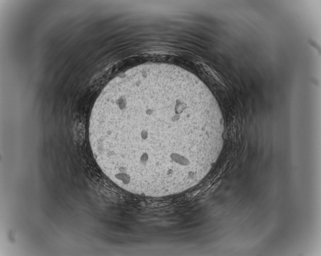 X0000096670821200803041218