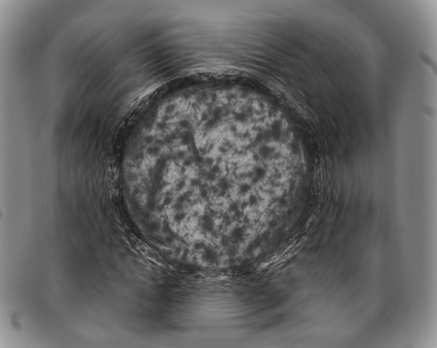 X0000096670822200803041218