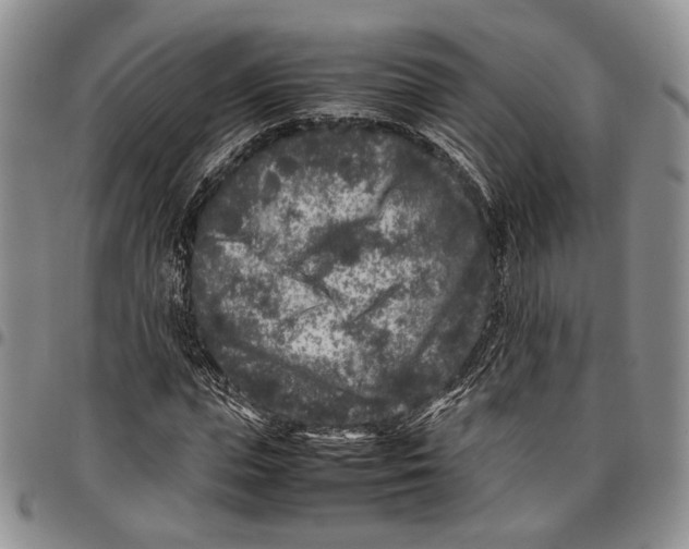 X0000096670823200803041218
