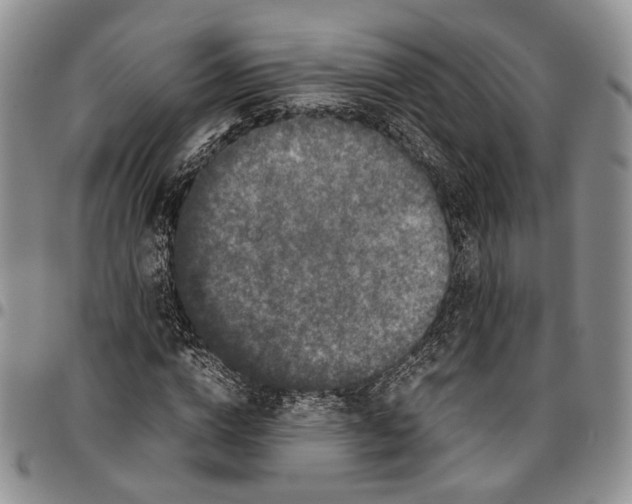 X0000096670824200803041218