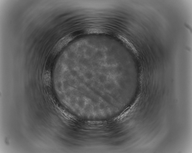 X0000096670825200803041219