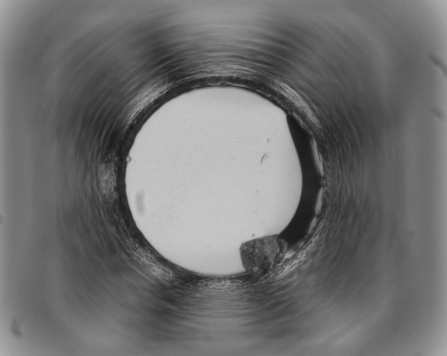 X0000096670826200803041219