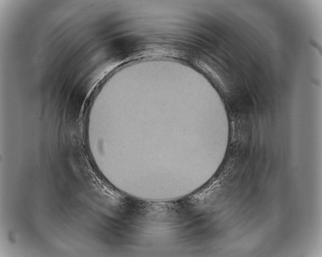 X0000096670828200803041219