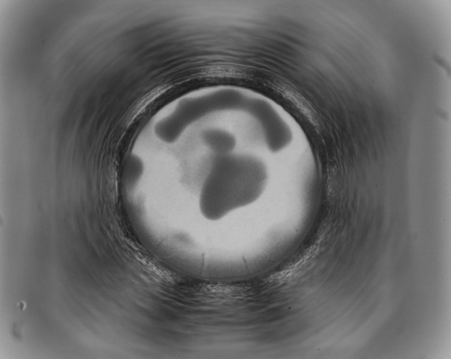 X0000096670829200803041219