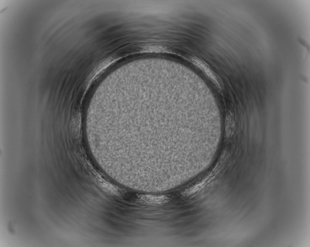X0000096670831200803041219