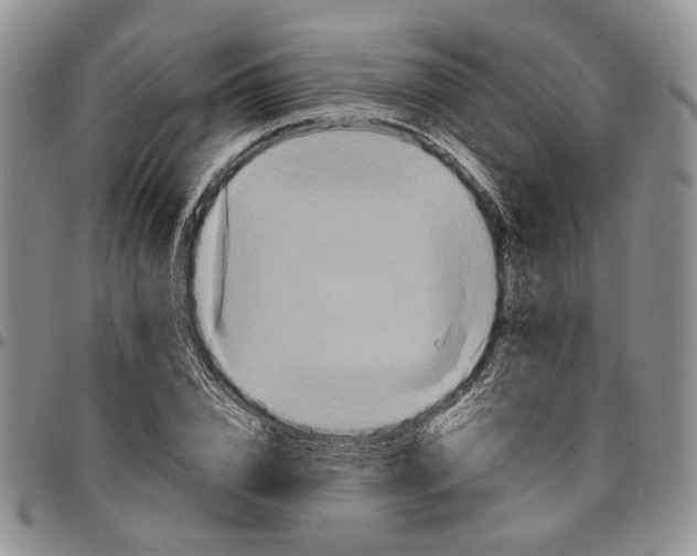 X0000096670832200803041219