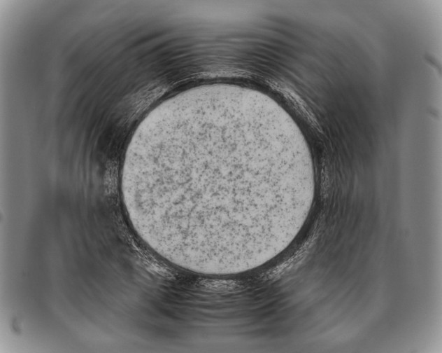 X0000096670833200803041219