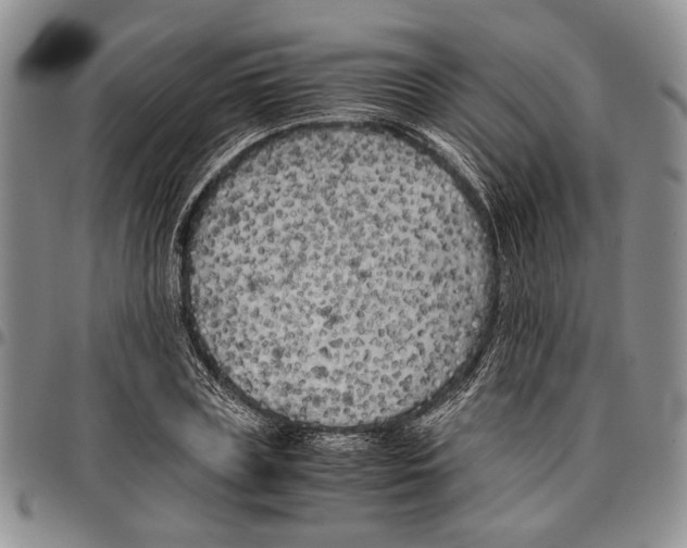 X0000096670835200803041219