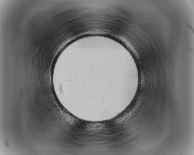 X0000096670837200803041219
