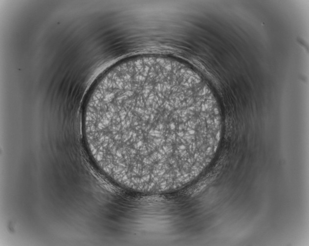 X0000096670838200803041219