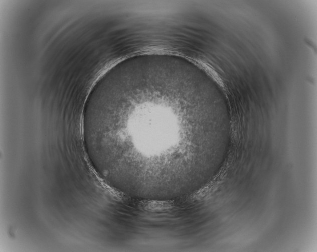X0000096670839200803041219