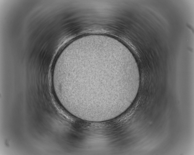 X0000096670840200803041219