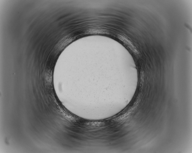 X0000096670841200803041219