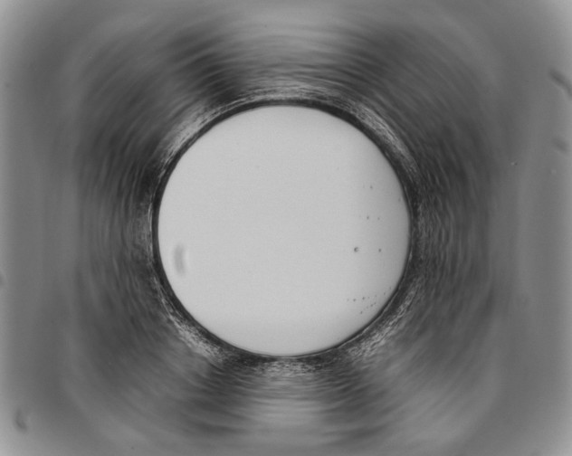 X0000096670842200803041219