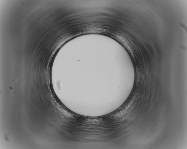 X0000096670843200803041219
