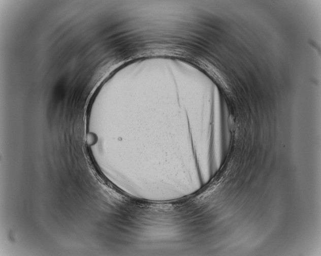 X0000096670844200803041219