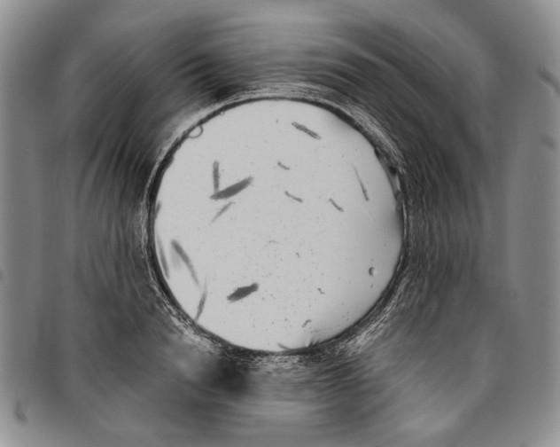 X0000096670846200803041219