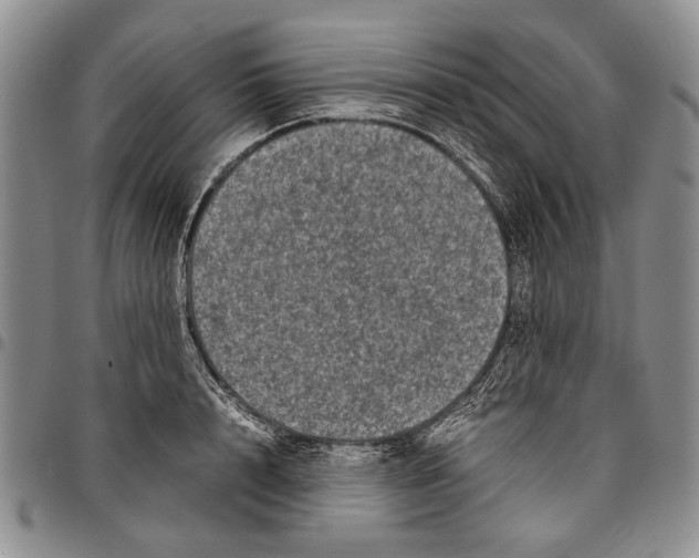 X0000096670848200803041219
