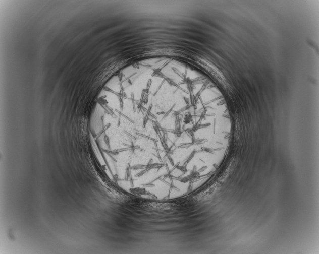 X0000096670849200803041219