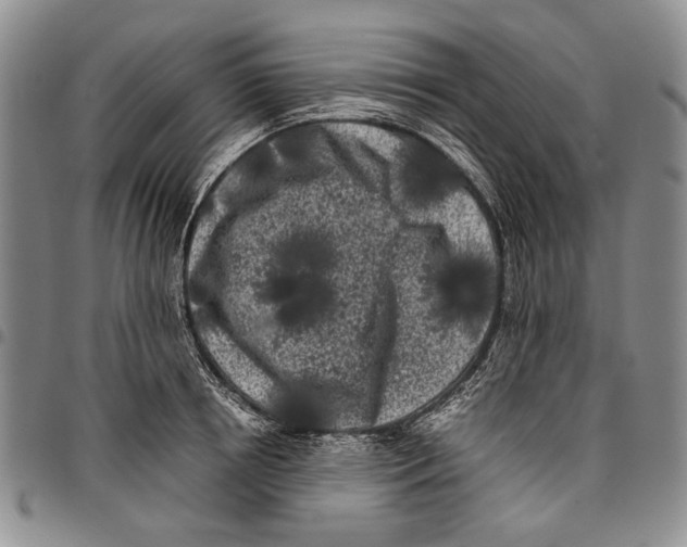 X0000096670850200803041219
