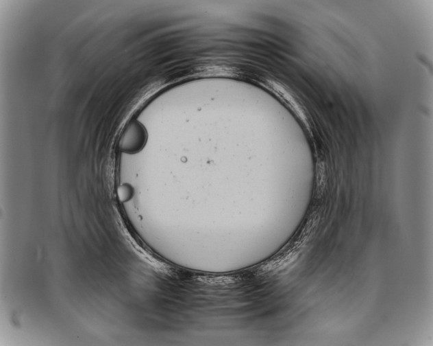 X0000096670851200803041219