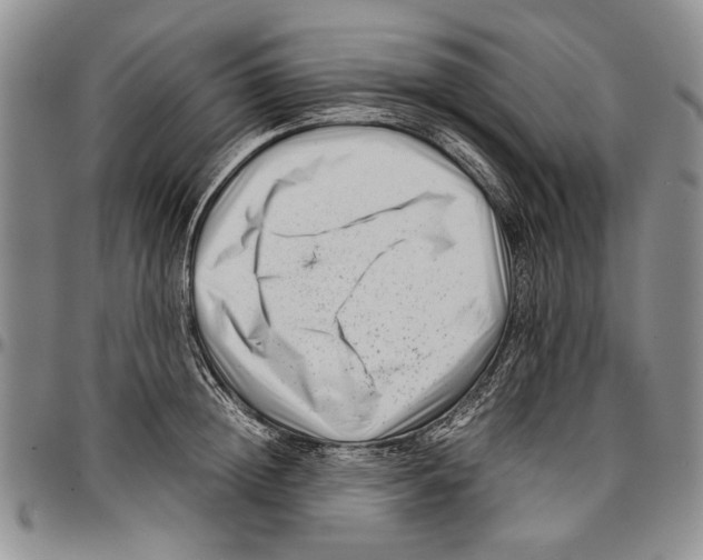 X0000096670852200803041219