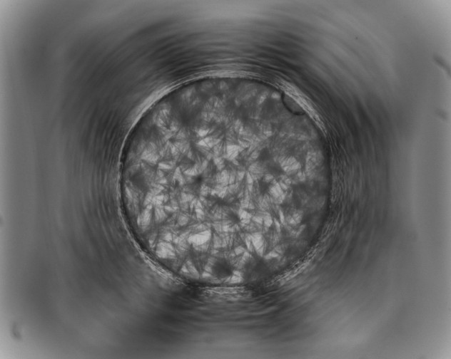 X0000096670853200803041219