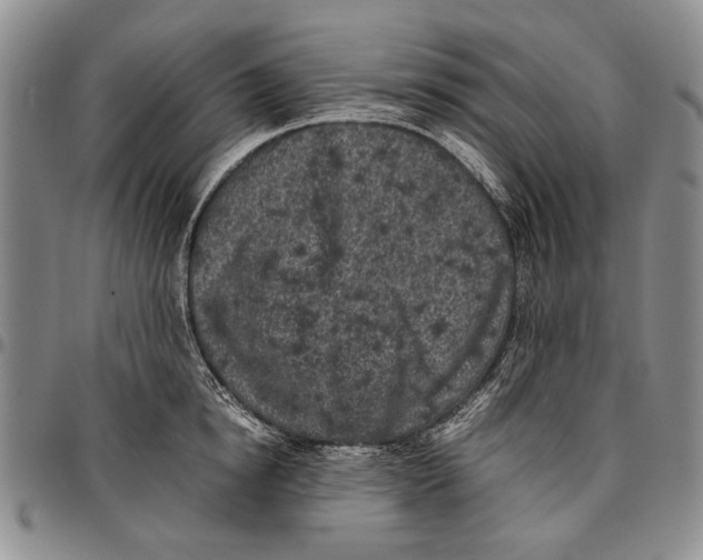 X0000096670854200803041219