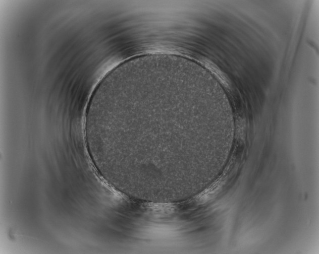 X0000096670856200803041219