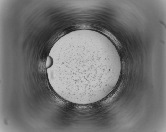 X0000096670857200803041219