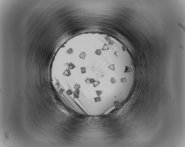 X0000096670858200803041219