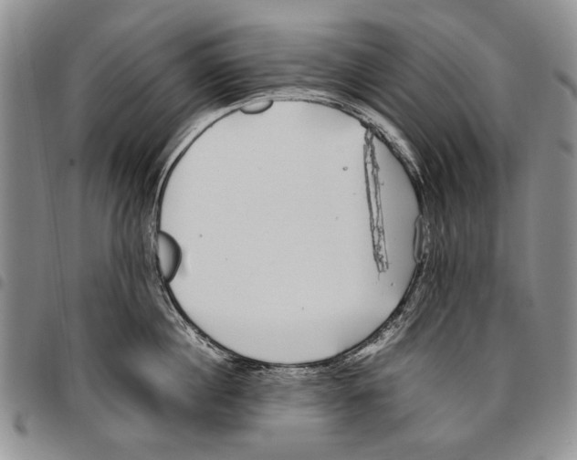 X0000096670860200803041219