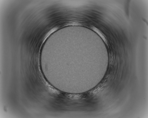 X0000096670861200803041219