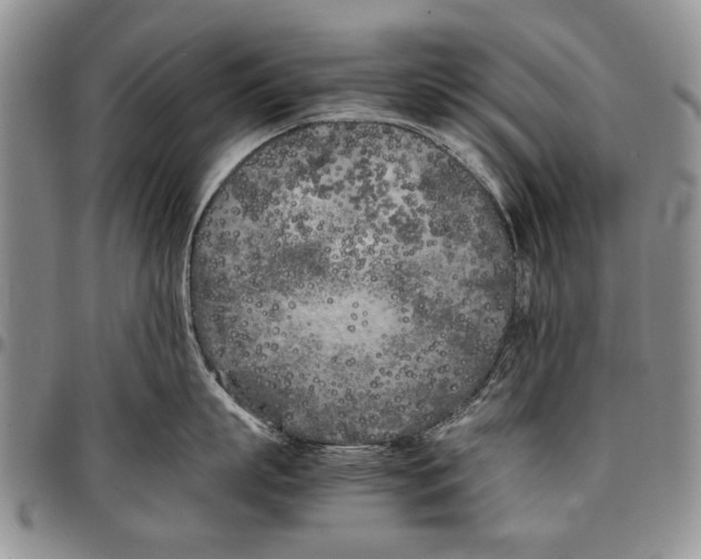 X0000096670863200803041219