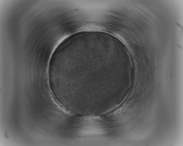X0000096670864200803041219